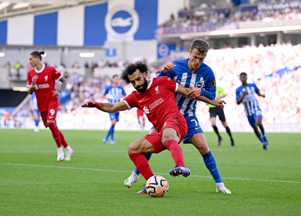 是一個例證 是一個例證